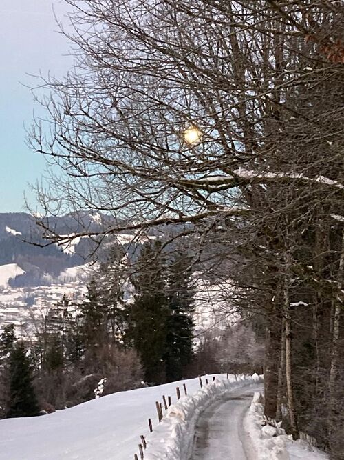 Frauengang Andelsbuch